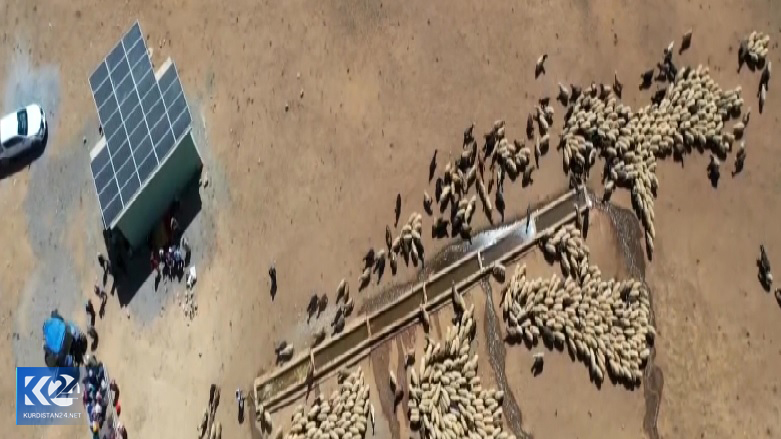 دامداران شمال کوردستان در دام خشکسالی